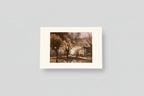 Card Postal - Thessaloniki