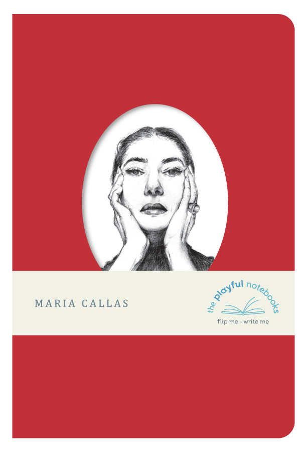 The Playful Notebooks