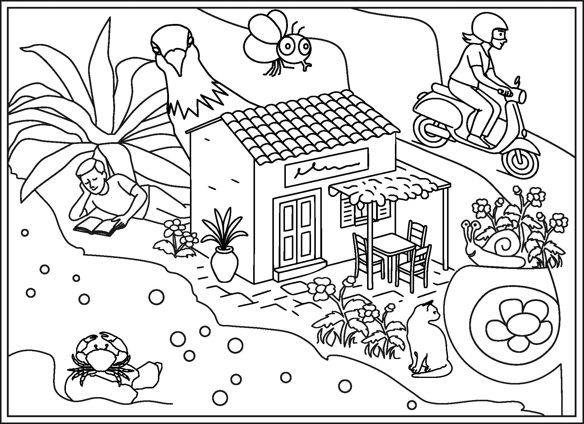 Colouring - Set of Card Postal