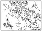 Colouring - Set of Card Postal