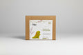Needle Felting Kit - TRex